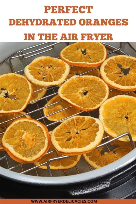 fruit air dryer|How To Make DIY Dried Fruit in Your Air Fryer .